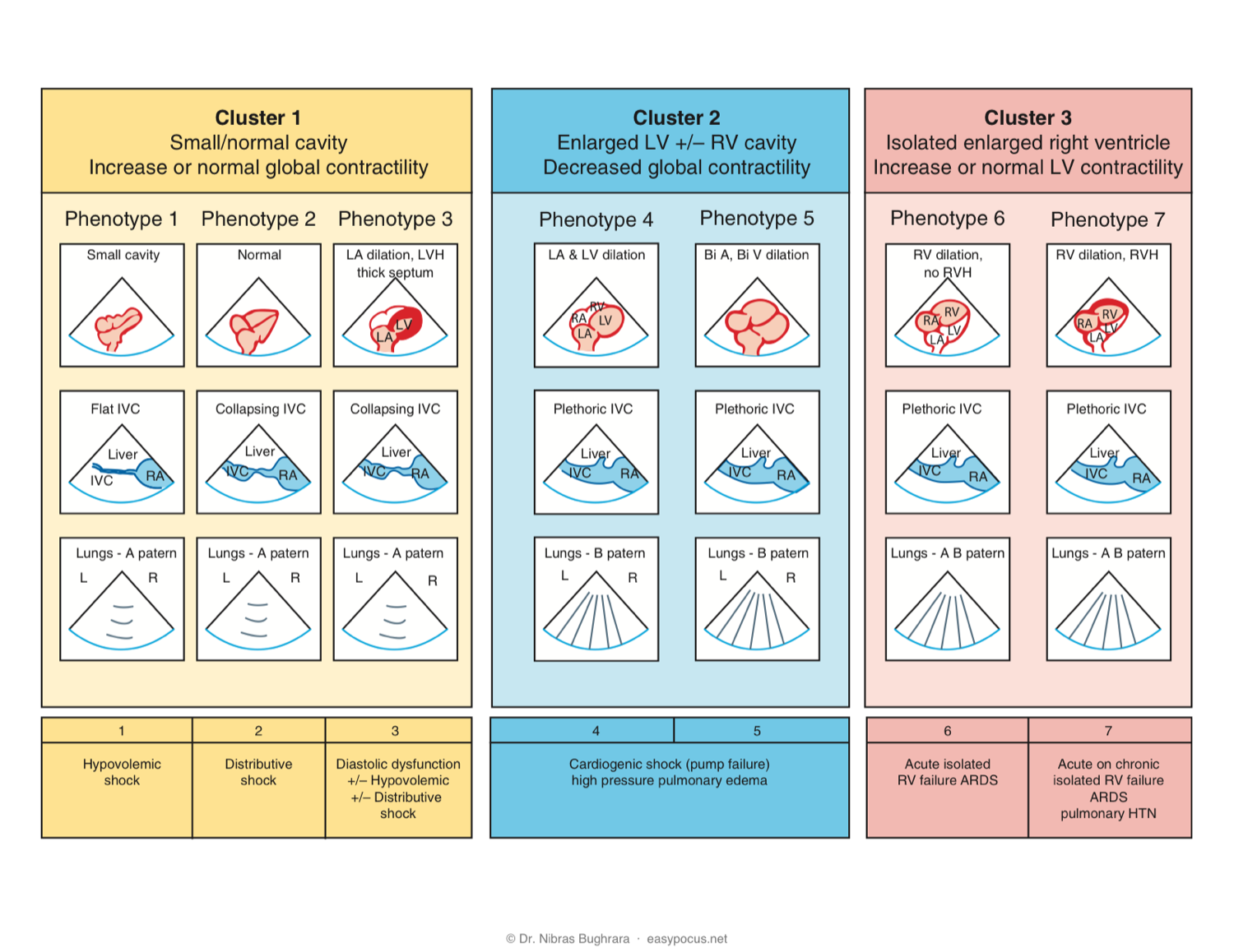 EASy phenotype recognition — Clusters 1–3