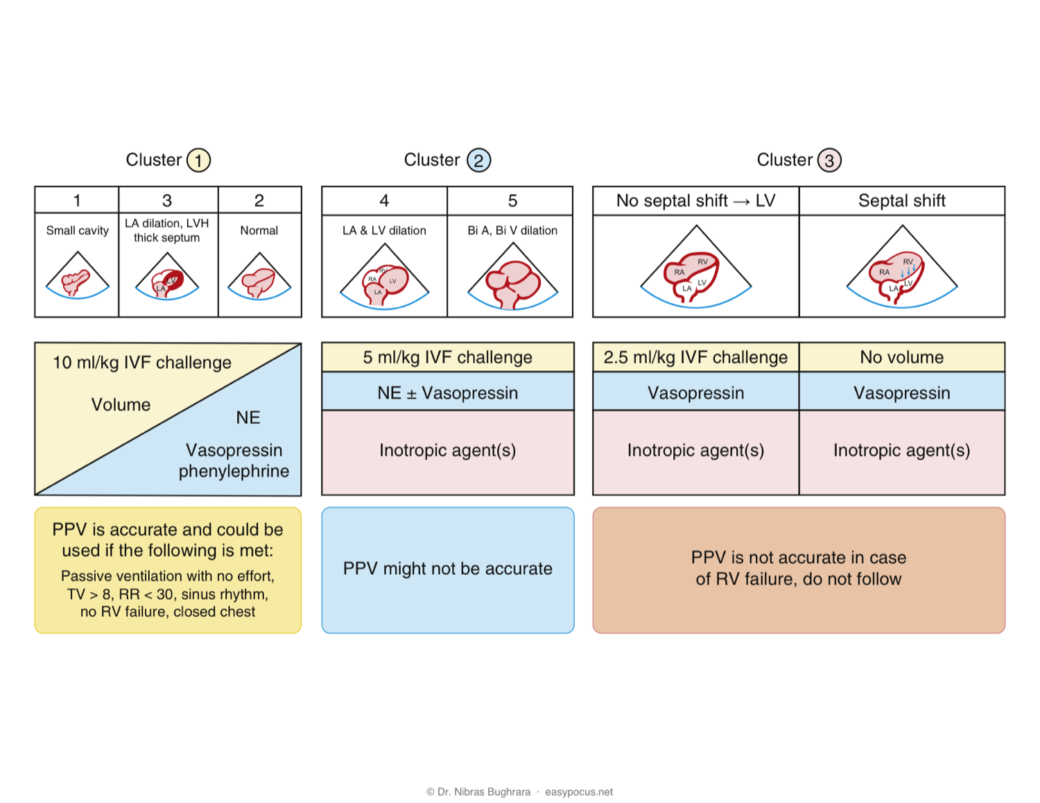 EASy management algorithm — Cluster-based resuscitation