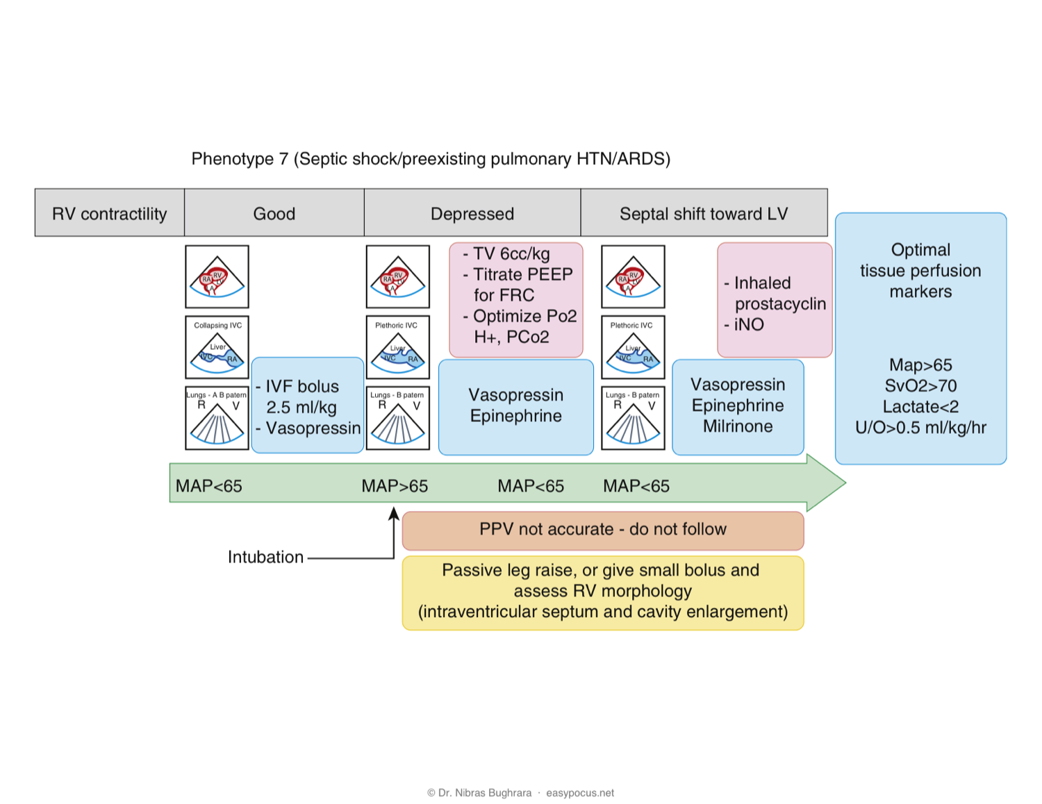 EASy management algorithm — Phenotype 7