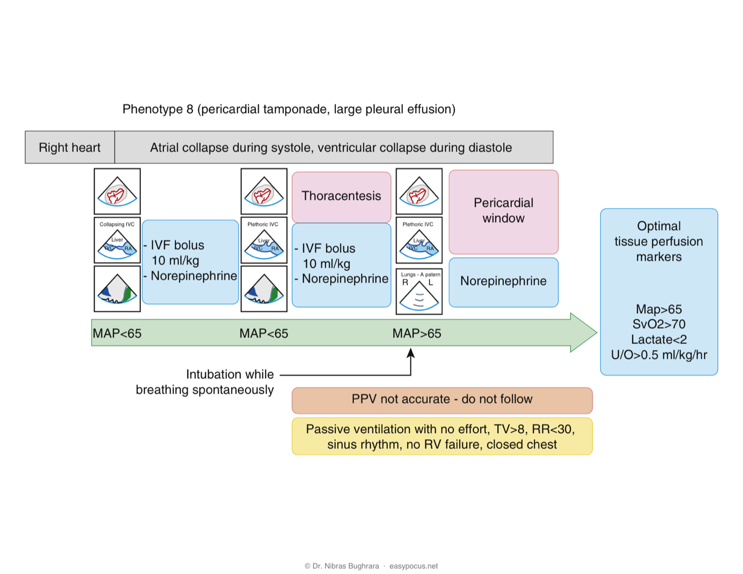 EASy management algorithm — Phenotype 8